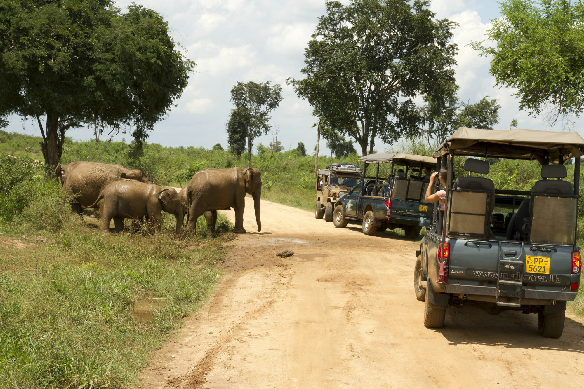 Mahoora Tented Safari Camp Udawalawe Exterior photo